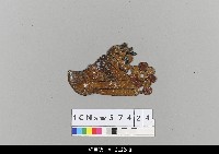 藏品(中國湖北皮影戲盔帽-虎頭盔)的圖片